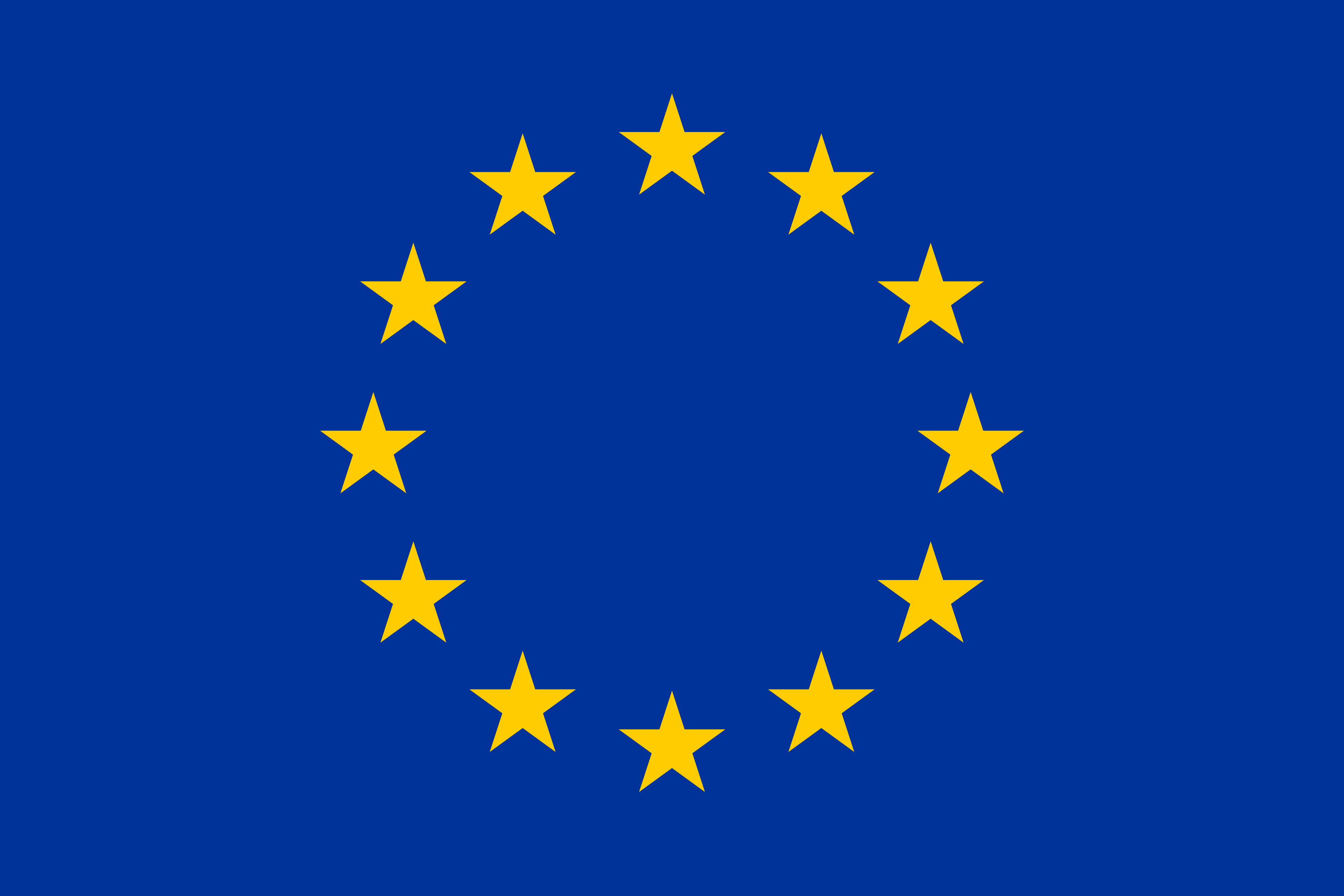EU Logo